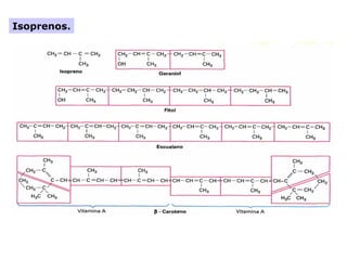 Isoprenos.