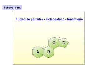 Esteroides.