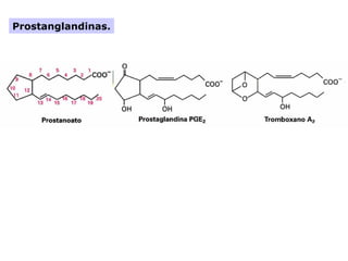 Prostanglandinas.