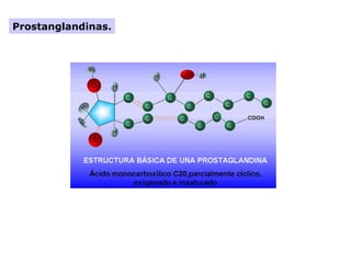 Prostanglandinas.