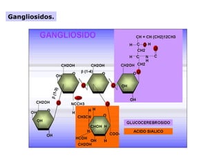 Gangliosidos.