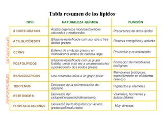 LÍPIDOS 2º Bachillerato - Ver.2014