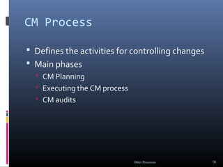 Other software processes (Software project Management) | PPT