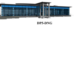 DP5-DNG
 
