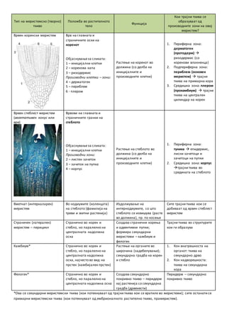 Rastitelni tkiva | PDF