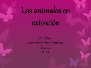 Los animales en 
extinción 
Nombre: 
Leidy Carolina Murillo Velásquez 
Curso: 
901 J.T 
 