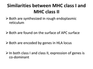 Similarities between MHC class I and
MHC class II
Both are synthesized in rough endoplasmic
reticulum
Both are found on the surface of APC surface
Both are encoded by genes in HLA locus
In both class I and class II, expression of genes is
co-dominant
 