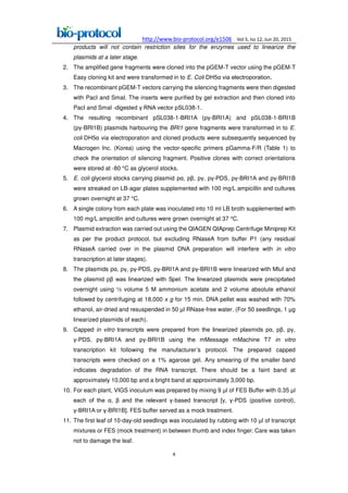 http://www.bio-protocol.org/e1506 Vol 5, Iss 12, Jun 20, 2015
4
products will not contain restriction sites for the enzymes used to linearize the
plasmids at a later stage.
2. The amplified gene fragments were cloned into the pGEM-T vector using the pGEM-T
Easy cloning kit and were transformed in to E. Coli DH5α via electroporation.
3. The recombinant pGEM-T vectors carrying the silencing fragments were then digested
with PacI and SmaI. The inserts were purified by gel extraction and then cloned into
PacI and SmaI -digested RNA vector pSL0γ8-1.
4. The resulting recombinant pSL038-1-BRI1A (p -BRI1A) and pSL038-1-BRI1B
(p -BRI1B) plasmids harbouring the BRI1 gene fragments were transformed in to E.
coli DH5α via electroporation and cloned products were subsequently sequenced by
Macrogen Inc. (Korea) using the vector-specific primers pGamma-F/R (Table 1) to
check the orientation of silencing fragment. Positive clones with correct orientations
were stored at -80 °C as glycerol stocks.
5. E. coli glycerol stocks carrying plasmid pα, p , p , p -PDS, p -BRI1A and p -BRI1B
were streaked on LB-agar plates supplemented with 100 mg/L ampicillin and cultures
grown overnight at 37 °C.
6. A single colony from each plate was inoculated into 10 ml LB broth supplemented with
100 mg/L ampicillin and cultures were grown overnight at 37 °C.
7. Plasmid extraction was carried out using the QIAGEN QIAprep Centrifuge Miniprep Kit
as per the product protocol, but excluding RNaseA from buffer P1 (any residual
RNaseA carried over in the plasmid DNA preparation will interfere with in vitro
transcription at later stages).
8. The plasmids pα, p , p -PDS, p -BRI1A and p -BRI1B were linearized with MluI and
the plasmid p was linearized with SpeI. The linearized plasmids were precipitated
overnight using ½ volume 5 M ammonium acetate and 2 volume absolute ethanol
followed by centrifuging at 18,000 x g for 15 min. DNA pellet was washed with 70%
ethanol, air-dried and resuspended in 50 µl RNase-free water. (For 50 seedlings, 1 µg
linearized plasmids of each).
9. Capped in vitro transcripts were prepared from the linearized plasmids pα, p , p ,
-PDS, p -BRI1A and p -BRI1B using the mMessage mMachine T7 in vitro
transcription kit following the manufacturer’s protocol. The prepared capped
transcripts were checked on a 1% agarose gel. Any smearing of the smaller band
indicates degradation of the RNA transcript. There should be a faint band at
approximately 10,000 bp and a bright band at approximately 3,000 bp.
10. For each plant, VIGS inoculum was prepared by mixing 9 µl of FES Buffer with 0.35 µl
each of the α, and the relevant -based transcript [ , -PDS (positive control),
-BRI1A or -BRI1B]. FES buffer served as a mock treatment.
11. The first leaf of 10-day-old seedlings was inoculated by rubbing with 10 µl of transcript
mixtures or FES (mock treatment) in between thumb and index finger. Care was taken
not to damage the leaf.
 
