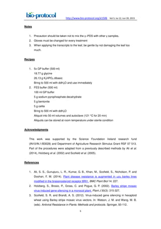 http://www.bio-protocol.org/e1506 Vol 5, Iss 12, Jun 20, 2015
6
Notes
1. Precaution should be taken not to mix the –PDS with other samples.
2. Gloves must be changed for every treatment
3. When applying the transcripts to the leaf, be gentle by not damaging the leaf too
much.
Recipes
1. 5x GP buffer (500 ml)
18.77 g glycine
26.13 g K2HPO4 dibasic
Bring to 500 ml with ddH2O and use immediately
2. FES buffer (500 ml)
100 ml GP buffer
5 g sodium pyrophosphate decahydrate
5 g bentonite
5 g celite
Bring to 500 ml with ddH2O
Aliquot into 50 ml volumes and autoclave (121 °C for 20 min)
Aliquots can be stored at room temperature under sterile condition
Acknowledgments
This work was supported by the Science Foundation Ireland research fund
(IN10/IN.1/B3028) and Department of Agriculture Research Stimulus Grant RSF 07 513.
Part of the procedures were adapted from a previously described methods by Ali et al.
(2014), Holzberg et al. (2002) and Scofield et al. (2005).
References
1. Ali, S. S., Gunupuru, L. R., Kumar, G. B., Khan, M., Scofield, S., Nicholson, P. and
Doohan, F. M. (2014). Plant disease resistance is augmented in uzu barley lines
modified in the brassinosteroid receptor BRI1. BMC Plant Biol 14: 227.
2. Holzberg, S., Brosio, P., Gross, C. and Pogue, G. P. (2002). Barley stripe mosaic
virus-induced gene silencing in a monocot plant. Plant J 30(3): 315-327.
3. Scofield, S. R. and Brandt, A. S. (2012). Virus-induced gene silencing in hexaploid
wheat using Barley stripe mosaic virus vectors. In: Watson, J. M. and Wang, M. B.
(eds). Antiviral Resistance in Plants: Methods and protocols. Springer, 93-112.
 