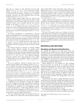 Reyes-Jara et al. Antibacterial Effect of Copper
milk sales (i.e., impacts on milk production level and milk
quality) (O’Grady and Doherty, 2009). International studies
estimate an average cost of U.S. $224-275 per case, resulting
in annual losses in the millions, including costs of antibiotic
treatments, veterinary care, milk withdrawal, labor, and milk
production losses (Steeneveld et al., 2011).
Bovine mastitis disease begins with the invasion and
colonization of microorganisms via the teat duct oriﬁce, creating
inﬂammation in the mammary gland that results in a clear
productive decline and in unwanted physical and chemical
changes in the milk (De Vliegher et al., 2012; Thompson-
Crispi et al., 2014). Staphylococcus aureus, Escherichia coli, and
Streptococcus uberis are frequently found in clinical mastitis (De
Vliegher et al., 2012). Intramammary bacterial infections are the
principal causes of clinical and subclinical mastitis (De Vliegher
et al., 2012).
The clinical manifestation is characterized by physical
alterations of the gland; this in turn deteriorates milk quality and
reduces its volume (Cha et al., 2011). In contrast, in subclinical
mastitis the visual symptoms and signs are absent, but the milk
shows elevated somatic cell counts (SCCs) (Halasa et al., 2009;
De Vliegher et al., 2012), which reduces the value of the milk.
In addition, subclinical mastitis may also cause infection by
spreading the bacteria among farms and even between animal
species.
The National Institute for Research in Dairying (NIRD)
program includes diﬀerent strategies for mastitis control
management such as dry cow treatment, milking techniques,
teat disinfection with topical antiseptic substances (pre-dipping
and dipping) and antibiotic treatment of clinical mastitis cases
(Barkema et al., 1998; Nickerson, 2009). However, antiseptic
substances routinely used in dairy production such as iodine
or chlorhexidine are not completely eﬀective in reducing or
preventing mastitis (Drechsler et al., 1993; El Behiry et al.,
2012).
The use of antibiotics, conﬁned to selected severe cases,
requires bacterial isolation and antibiotic selection (Roberson,
2012). In addition, the routine use of antibiotics is questionable
because their use can generate unwanted residues not accepted
in milk, and because they can spread the emergence of
antimicrobial-resistant strains (Gao et al., 2012; Oliver and
Murinda, 2012; Wang et al., 2012; Nosanchuk et al., 2014). Since
bovine mastitis remains a worldwide problem, producers and
governments continue searching for a non-antibiotic solution or
technologies to reduce the prevalence of the disease (Cheng et al.,
2014).
Finding successful strategies for the control of bovine mastitis
is a challenge for dairy producers. Currently the programs
are based on hygiene and include teat disinfection, antibiotic
therapy and culling of chronically infected cows. The search
for alternatives to antibiotics (i.e., bacteriophages, vaccines,
or natural compounds) is a ﬁeld being explored to ﬁnd an
eﬀective approach for management of bovine mastitis (Gomes
and Henriques, 2016). One alternative to be used as an eﬀective
teat disinfection may be a copper-based product.
The use of antimicrobial copper was accepted for the ﬁrst
time in 2008 by the United States Environmental Protection
Agency (EPA, 2008)1
. Studies showed that copper surfaces can
eliminate bacteria (i.e., S. aureus, Enterobacter aerogenes, MRSA,
Pseudomonas aeruginosa, and E. coli O157:H7) usually causing
nosocomial infections. Lately, the eﬃcacy of copper has been
tested in other microorganisms such as viruses, fungi, and other
bacterial pathogens (Faúndez et al., 2004; Wilks et al., 2005; Noyce
et al., 2006; Grass et al., 2011).
Copper antibacterial functionality is associated with various
mechanisms, including damaging the microbial DNA, altering
bacterial protein synthesis and altering membrane integrity
(Warnes et al., 2010; Grass et al., 2011; Chaturvedi and
Henderson, 2014). In addition, the antibacterial eﬀect of copper
was already proved for E. coli and S. aureus, two of the main
bacterial species involved in mastitis (Noyce et al., 2006; Espírito
Santo et al., 2011).
The aim of the present study was to evaluate in vitro the
antimicrobial activity of copper on microorganisms isolated from
bovine mastitis. Microorganisms were isolated from milk samples
of animals with bovine mastitis (clinical and subclinical). Samples
were from two geographic areas of Chile (central and southern
regions) with diﬀerent production systems between March and
September, 2013.
MATERIALS AND METHODS
Sampling and Bacterial Identiﬁcation
We analyzed 386 samples of raw milk from clinical and
subclinical bovine mastitis that were collected between March
and September 2013 in two geographical regions of Chile (central
and southern). A total of sixteen dairy farms were included in the
sampling, six from the central region and ten from the southern
region (Figure 1). The selected cows were previously diagnosis
with clinical or subclinical bovine mastitis and the sampling
conducted during regular milking times.
Ethical approval was not required for milk sampling,
because this study was carried out in accordance with the
routinely milking procedures, which was supervised by oﬃcial
veterinarians. Subclinical and clinical bovine mastitis were
deﬁned according to Schukken et al. (2003). In subclinical
mastitis, the SCC was greater than 200,000 cells per milliliter of
milk. In the case of clinical mastitis, in addition to high SCC
the milk presented evident organoleptic changes, such as the
presence of clots and yellow color, among others, which were
visually inspected.
Tested animals were under a regular disinfection protocol
using iodine as teat dip before milking. Milk samples from each
teat were collected aseptically according to the NMC protocol,
placed into sterile tubes and transported on the same day under
cooling conditions to the laboratory. Bacteriological culture of
milk samples and bacterial identiﬁcation were performed as
recommended by the National Mastitis Council.
The collected milk samples were centrifuged at 2500 × g
for 5 min and the pellet was cultured on diﬀerent agar media:
1
http://gochemless.com/pdf/EPA_Registers_Copper_Containing_Alloy_
Products.pdf
Frontiers in Microbiology | www.frontiersin.org 2 April 2016 | Volume 7 | Article 626
 