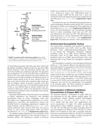 Reyes-Jara et al. Antibacterial Effect of Copper
FIGURE 1 | Location in Chile of dairy farms sampled (López, 2014).
Chile is divided into 15 Regions, each one is identiﬁed by a Roman numeral
(I to XV). Regions sampled during the study are enclosed in circles.
5% sheep blood agar plates, McConkey agar plates (Oxoid Ltd,
Basingstoke, Hampshire, England), tryptic soy agar plates (BBL,
Becton Dickinson, USA) and Sabouraud dextrose agar. Ten
micro liter of pellet were streaked per agar plate. The agar plates
were incubated at 37◦C for 18–24 h; those with no growth were
left up to 48 h. The results obtained in the culture medium were
interpreted and recorded according to the following criteria: (a)
positive culture: growth of ﬁve or more colonies of the same
type or two types of colony with a minimum eight colonies per
type. (b) Negative culture: no growth or growth of less than
ﬁve colonies of the same type. (c) Contaminated sample: growth
of three or more diﬀerent types of colonies. Isolates were sub-
cultured to obtain pure cultures. The identiﬁcation of bacteria
was performed according to colony morphology, Gram staining,
and biochemical tests.
Phenotypic diﬀerentiation of bacterial species was conducted
as follows: Staphylococci and Streptococci were identiﬁed
presumptively based on colony morphology, Gram stain
and catalase test. Coagulase-positive Staphylococci (S. aureus,
Staphylococcus intermedius, and Staphylococcus hyicus) were
identiﬁed based on morphology, pigmentation, coagulase test,
Voges Proskauer, and the ONPG test (Capurro et al., 1999).
Speciﬁc polymerase chain reaction (PCR) tests were used to
conﬁrm S. aureus strains using primers NUC1 and NUC2
described by (Gandra et al., 2011) (Supplementary Figure S1A).
All coagulase-negative Staphylococci were considered as CNS
(coagulase-negative Staphylococci) after showing resistance to
bacitracin (0.04U). The Staphylococci sensitive to bacitracin
(0.04U) were considered as Micrococcus spp. (Falk and Guering,
1983). Streptococcus species were diﬀerentiated based on
hemolysis, esculin, CAMP and the inulin test. S. uberis was
conﬁrmed by PCR with oligonucleotide primers designed for the
16S rRNA gene (Hassan et al., 2001) (Supplementary Figure
S1B).
Corynebacterium spp. were identiﬁed presumptively based on
colony morphology, hemolysis, esculin, and the APIR
Coryne test
(Biomerieux). Results were conﬁrmed by PCR ampliﬁcation of
the rpoB gene (Khamis et al., 2004) (Supplementary Figure S1C).
Yeasts and Enterobacteriaceae were presumptively identiﬁed
based on colony morphology, Gram stain and APIR
20C
Aux (Biomerieux) for yeasts and APIR
20E (Biomerieux) for
Enterobacteriaceae. E. coli was conﬁrmed by PCR ampliﬁcation
of the uspA gene (Chen and Griﬃths, 1998) (Supplementary
Figure S1D). All isolates were stored at −80◦C until further use.
Antimicrobial Susceptibility Testing
The antimicrobial susceptibility tests included six antibiotics:
amoxicillin/clavulanic Acid (AMC) 20/10 µg (BBL, Becton
Dickinson, USA), sulphamethoxazole/trimethoprim (SXT)
25 µg (Oxoid Ltd., Basingstoke, Hampshire, England),
cefotaxime (CTX) 30 µg (BBL, Becton Dickinson, USA),
tetracycline (TET) 30 µg (BBL, Becton Dickinson, USA),
gentamicin (GN) 10 µg (BBL, Becton Dickinson, USA), and
neomycin (NE) 30 µg, (Oxoid Ltd., Basingstoke, Hampshire,
England).
The susceptibility to antibiotics was tested against all bacterial
isolates (n = 324) using the diﬀusion test proposed by Kirby–
Bauer following the recommendations of the Clinical Laboratory
Standards Institute guidelines (Clinical Laboratory Standards
Institute [CLSI], 2012b) and the BSAC guide (Andrews and
BSAC Working Party on Susceptibility Testing, 2008). In this
analysis only the three Candida spp. were excluded. Organisms
were incubated on Mueller Hinton (MH) agar plates at 35◦C
for 18–24 h in aerobic atmosphere. E. coli (ATCC-25922) and
S. aureus (ATCC-25923) were used as quality control. The CLSI
breakpoints were used for the interpretation of susceptibility
to all microbial agents. The BSAC standard was applied to
determine the breakpoint value of Neomycin (NE).
Determination of Minimum Inhibitory
Concentration of Copper (MIC-Cu)
The minimum inhibitory concentration of copper (MIC-Cu)
was determined by the agar dilution method against 327
microorganisms isolated, applying standard bacteriological
methods (Clinical Laboratory Standards Institute [CLSI],
2012a). Brieﬂy, MH agar plates were supplemented with
seven concentrations of copper (II) sulfate pentahydrate
(CuSO4x5H2O) (Merck Millipore, Germany): 50, 125, 250,
375, 500, 750, and 1000 ppm of copper. Overnight culture of
each microorganism was diluted to 1x106 CFU/ml; 5 µL of this
dilution was inoculated as spots with a microplate replicator.
Each assay was performed in triplicate. The MIC-Cu was deﬁned
as the lowest concentration of copper at which no growth was
observed following overnight incubation at 37◦C.
Frontiers in Microbiology | www.frontiersin.org 3 April 2016 | Volume 7 | Article 626
 