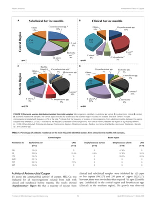 Reyes-Jara et al. Antibacterial Effect of Copper
FIGURE 2 | Bacterial species distribution isolated from milk samples. Microorganisms identiﬁed in subclinical (A, central; C, southern) and clinical (B, central;
D, southern) mastitis milk samples. The central region includes 82 isolates and the southern region includes 245 isolates. The label “Others” includes
microorganisms isolated with frequency ≤2% of the total. # indicate that the frequency of isolation of microorganisms, from subclinical mastitis, between the regions
is signiﬁcantly different (p ≤ 0.05). ∗ indicate that the frequency of isolation of microorganisms, from clinical mastitis, between the regions is signiﬁcantly different
(p ≤ 0.05). Others included: Enterobacter cloacae, Enterococcus faecium, Streptococcus spp., Bacillus, non-fermenting Bacillus, Aeromona, Yersinia sp., Serratia
sp., and Candida spp.
TABLE 1 | Percentage of antibiotic resistance for the most frequently identiﬁed isolates from clinical bovine mastitis milk samples.
Central region South region
Resistance to Escherichia coli CNS Staphylococcus aureus Streptococcus uberis CNS
(n:13) (n:13) (n:18) (n:19) (n:16)
GN 15.4% 0 0 47.4% 0
NE 53.8% 15.4% 5.6% 57.9% 6.3%
CTX 15.4% 0 0 26.3% 6.3%
AMC 23.1% 0 0 0 0
TET 23.1% 7.7% 0 0 0
SXT 15.4% 0 0 0 0
Activity of Antimicrobial Copper
To assess the antimicrobial activity of copper, MIC-Cu was
evaluated for all microorganisms isolated from milk with
clinical and subclinical bovine mastitis. The results showed
(Supplementary Figure S3) that a majority of isolates from
clinical and subclinical samples were inhibited by 125 ppm
or less copper (90/327) and 250 ppm of copper (122/327);
however, there were two isolates that required 700 ppm [Candida
spp. (subclinical) in the central region and Streptococcus spp.
(clinical) in the southern region]. No growth was observed
Frontiers in Microbiology | www.frontiersin.org 5 April 2016 | Volume 7 | Article 626
 