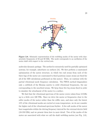 29
Figure 2.8. Schematic representation of the wobbling modes of the motor with char-
acteristic frequencies of 50 and 80 GHz. The mode corresponds to an oscillation of the
motor shaft with respect to the vertical axis.
molecular dynamic package. The method is extensively used for partially optimized
systems, for example, adsorbates on surfaces [41]. We ﬁrst perform a constrained
optimization of the motor structure, in which two end atoms from each of the
three legs of the motor are constrained to ﬁxed positions (same atoms are ﬁxed for
all of the MD calculations performed on this motor). Then, we continue with the
partial vibrational mode frequency calculation. The PHVA method diagonalizes
only a subblock of the Hessian matrix to yield vibrational frequencies, the one
corresponding to the non-ﬁxed atoms. We keep those few leg atoms ﬁxed in order
to simulate the attachment of the motor to a surface.
We ﬁnd that the vibrational spectrum of the motor covers values from 13 GHz
up to a little over 100 THz. Since we drive the motor at frequencies close to the
softer modes of the motor rather than the stiﬀer ones, and since only the lowest
15% of the vibrational modes are excited at room temperature, we do not consider
the higher end of the vibrational spectrum further. A few soft modes of the motor
have magnitudes within the driving frequency interval for the external electric ﬁeld
(10-150 GHz) and we present them here in more detail. Two of the modes of the
motor are associated with what we call the shaft wobbling motion (see Fig. 2.8),
 