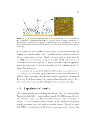 66
Figure 4.1. A) Schematic representation of the displacement of AD molecules by
C12 molecules. n-dodecanethiolate (C12) molecules insert at defect sites of the AD
SAM during a rapid nucleation phase. B) STM image of the real process: the (C12)
islands grow radially into domains that coalesce and eventually fully displace the original
monolayer.
SAM, followed by radial growth into domains that coalesce and eventually fully
displace the original monolayer [69]. The defects consist of both randomly dis-
tributed single-atom-deep vacancy islands in the gold substrate (from lifting the
Au{111} surface reconstruction during self-assembly) [70–72] and rotational/tilt
domain boundaries in the original SAM. Figure 4.1 shows a schematic representa-
tion of the displacement of the AD molecules by the C12 molecules and an STM
image of the real process.
In order to study the quantitative kinetics of the solution-phase displacement of
AD SAMs by C12 on Au{111}, they used Fourier transform infrared spectrometry
(FTIR). Below, we present brieﬂy the experimental results of our collaborators.
For a more detailed description of the experimental methods and results, we direct
the reader to the article we published together with our collaborators [73].
4.2 Experimental results
The experimental procedure comprises several steps. First, the experimentalists
fabricate the AD SAMs by immersing ﬂame-annealed Au{111} on mica substrates
into ethanolic solutions of 1-Adamantanethiol molecules with concentrations of
10 mM. After 24 hr deposition from solution, the gold substrates are removed,
rinsed with ethanol, and dried under a stream of nitrogen. The newly created
AD SAMs are investigated immediately after preparation, in order to asses their
 