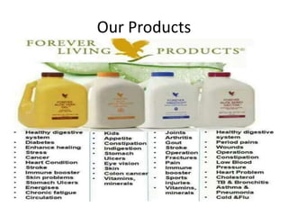Our Products
 