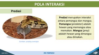Predasi Sistem Ekosistem lingkungan hidup di pedesaan.pptx
