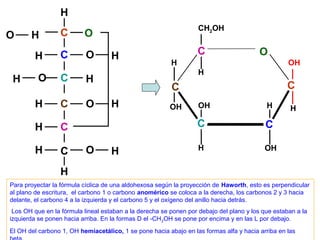 H
                                                                   CH2OH
O      H          C       O

        H         C        O        H                             C                     O
                                                         H                                         OH
                                                                   H
 H        O       C        H
                                                         C                                        C
        H         C        O        H                    OH        OH                      H        H

        H         C                                               C                        C

        H                  O                                       H                      OH
                  C                 H
                  H
Para proyectar la fórmula cíclica de una aldohexosa según la proyección de Haworth, esto es perpendicular
al plano de escritura, el carbono 1 o carbono anomérico se coloca a la derecha, los carbonos 2 y 3 hacia
delante, el carbono 4 a la izquierda y el carbono 5 y el oxígeno del anillo hacia detrás.
 Los OH que en la fórmula lineal estaban a la derecha se ponen por debajo del plano y los que estaban a la
izquierda se ponen hacia arriba. En la formas D el -CH 2OH se pone por encima y en las L por debajo.
El OH del carbono 1, OH hemiacetálico, 1 se pone hacia abajo en las formas alfa y hacia arriba en las
 