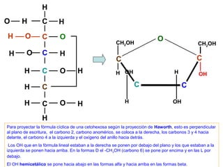 H
O      H          C       H
H        O
                  C        O                                                 O
                                                       CH2OH                                     CH2OH
 H        O       C        H
                                                       C                                         C
        H         C        O        H                  H OH                          H            OH

        H         C                                              C                       C

        H                  O                                H                       OH
                  C                 H
                  H
Para proyectar la fórmula cíclica de una cetohexosa según la proyección de Haworth, esto es perpendicular
al plano de escritura, el carbono 2, carbono anomérico, se coloca a la derecha, los carbonos 3 y 4 hacia
delante, el carbono 4 a la izquierda y el oxígeno del anillo hacia detrás.
 Los OH que en la fórmula lineal estaban a la derecha se ponen por debajo del plano y los que estaban a la
izquierda se ponen hacia arriba. En la formas D el -CH 2OH (carbono 6) se pone por encima y en las L por
debajo.
El OH hemicetálico se pone hacia abajo en las formas alfa y hacia arriba en las formas beta.
 
