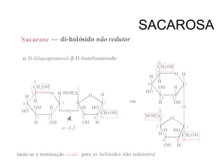 SACAROSA
 