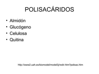 POLISACÁRIDOS
•   Almidón
•   Glucógeno
•   Celulosa
•   Quitina




       http://www2.uah.es/biomodel/model3j/redir.htm?polisac.htm
 