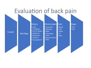 Evaluation of back pain
Causes
Red flags
History
• Chief
Complains
• H/O Pr illness
• Medical H
• Personal H
• Family H
• Occupation H
Clinical exam
• Inspection
• Palpation
• ROM
• Neurology
exam
• Special clinical
tests
Tests
• Blood
• USG
• X-RAY
• CT
• MRI
Diagn
• Prov
• D/D
 