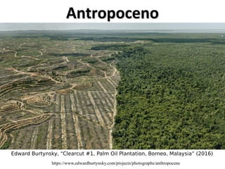 Antropoceno
Antropoceno
Edward Burtynsky, “Clearcut #1, Palm Oil Plantation, Borneo, Malaysia” (2016)
https://www.edwardburtynsky.com/projects/photographs/anthropocene
 