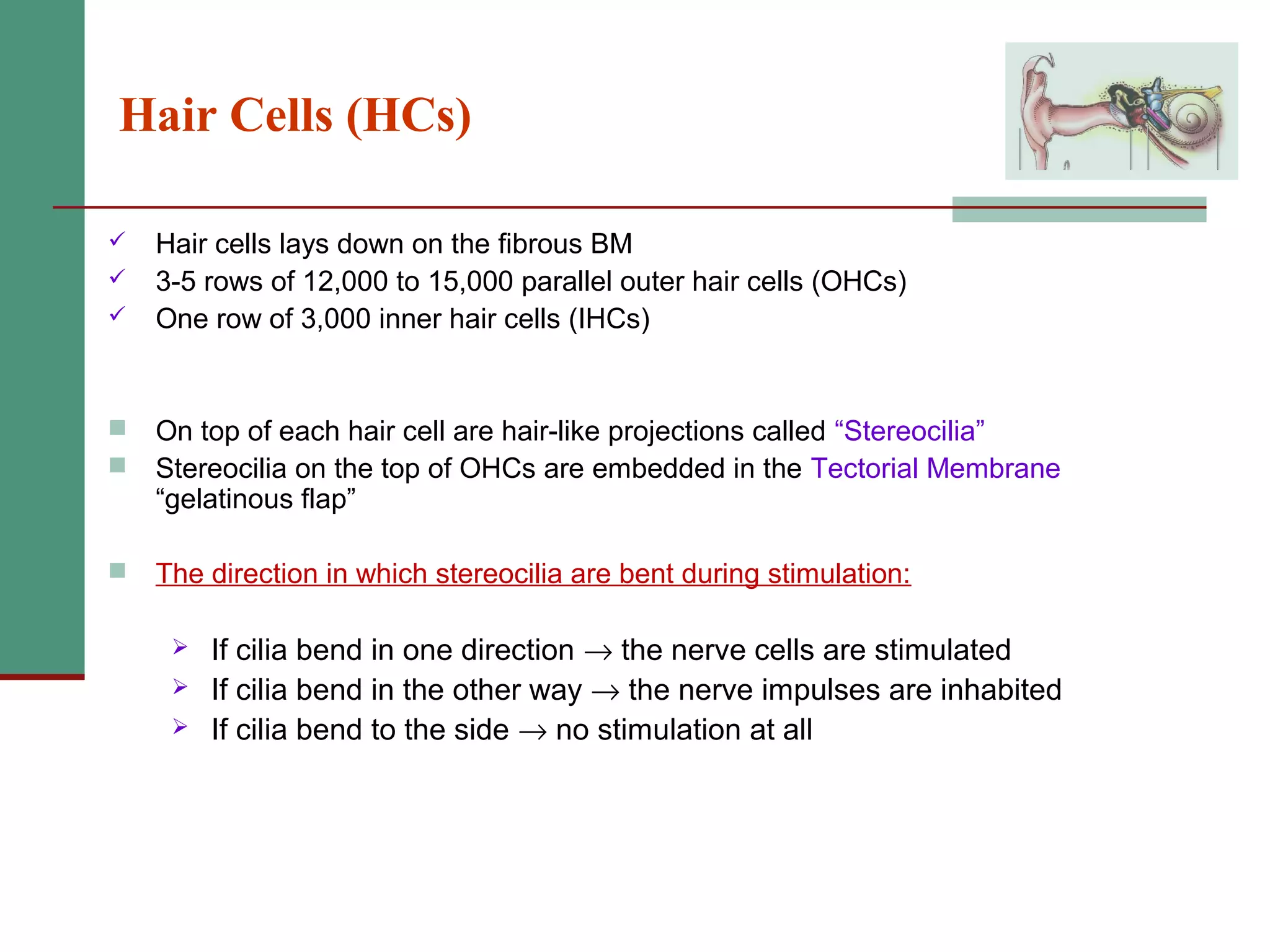 2(b) anatomy and physiology of the peripheral and central auditory ...