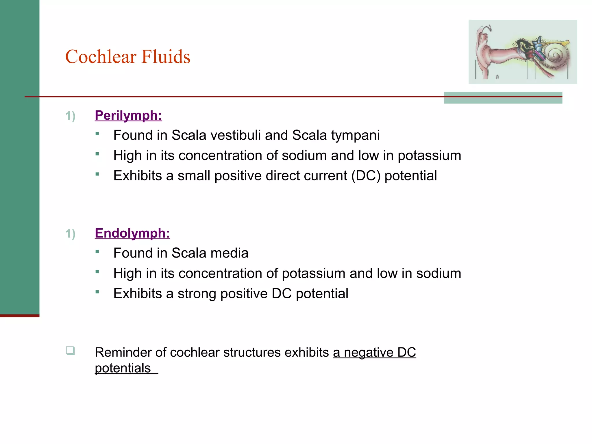 2(b) anatomy and physiology of the peripheral and central auditory ...