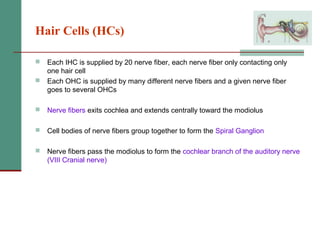 2(b) anatomy and physiology of the peripheral and central auditory ...