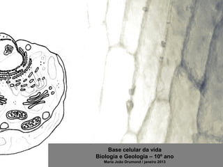 Base celular da vida
Biologia e Geologia – 10º ano
   Maria João Drumond / janeiro 2013
 