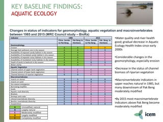 KEY BASELINE FINDINGS:
AQUATIC ECOLOGY
Changes in status of indicators for geomorphology, aquatic vegetation and macroinvertebrates
between 1985 and 2015 (MRC Council study – BioRa)
•Water quality and river health
good; gradual decrease in Aquatic
Ecology Health Index since early
2000s
•Considerable changes in the
geomorphology, especially erosion
•Decrease in the status of channel
biomass of riparian vegetation
•Macroinvertebrate indicators in
upper reaches natural in 1985, but
many downstream of Pak Beng
moderately modified
•By 2015 most macroinvertebrate
indicators above Pak Beng become
moderately modified
Indicator 1985 2015
China border
to Pak Beng
Pak Beng to
Vientiane
China border
to Pak Beng
Pak Beng to
Vientiane
Geomorphology
Erosion A A D D
Average bed sediment size in dry season A A B B
Availability of exposed sandy habitat in dry season A A C C
Availability of inundated sandy habitat in dry season A A C C
Availability of exposed rocky habitats in dry season A A C C
Avaialbility of inundated rocky habitats in dry season A A C C
Depth of pools in bedrock in dry season A A B B
Water clarity A A C C
Aquatic Vegetation
Channel extent of upper bank vegetation C C C C
Channel extent of lower bank vegetation C C C C
Channel biomass of riparian vegetation B B C C
Macroinvertebrates
Insects on stones B B B B
Insects on sand B B B B
Dry season emergence B C C C
Burrowing mayflies B C C C
Snails B C C C
Aquatic snail diversity B C C C
Bivalves B B B B
Shrimps and crabs B C C C
Littoral invertebrate diversity B C C C
Benthic invertebrate diversity B C C C
Zooplankton B B B B
A Unmodified, natural
B Largely natural
C Moderately modified
D Largely modified
E Completely modified
 