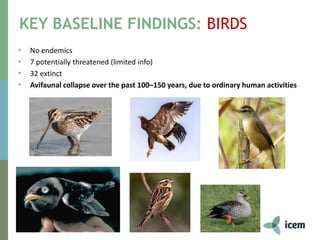 KEY BASELINE FINDINGS: BIRDS
• No endemics
• 7 potentially threatened (limited info)
• 32 extinct
• Avifaunal collapse over the past 100–150 years, due to ordinary human activities
 