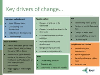 Key drivers of change…
Hydrology and sediment
 Upper Mekong dams
 Land clearing and
deforestation
 Embankment developments
 Climate change
Aquatic ecology
 Changes of land use in the
watershed
 Changes in agriculture down to the
river banks
 Increases in urban run-off and
pollution
 Increases in infrastructure
development.
 Navigation improvements
 Increase in navigation traffic
Fish
 Deteriorating water quality
 Declines in benthic fauna and
flora
 Changes in water level
 Increasing fishing pressure
 Decline in algae
Amphibians and reptiles
 Land clearing and
development
 Forest degradation
 Agriculture (banana, rubber,
rice)
 Infrastructure
Birds
 Local hunting pressure
 Dogs and rats
 Disturbance to nests and habitats
Socio-economics
 Annual population growth rates
ranging from 0.38% in Chiang
Rai, up to 2.1% in Bokeo
 Promotion of agri-business is
coming at the expense of the
livelihoods and food security of
poor and vulnerable
communities
 Illegal logging is continuing to
grow
 
