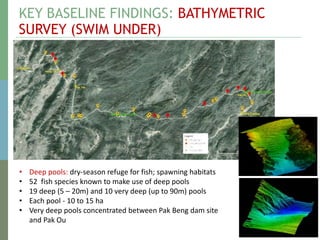 KEY BASELINE FINDINGS: BATHYMETRIC
SURVEY (SWIM UNDER)
7
• Deep pools: dry-season refuge for fish; spawning habitats
• 52 fish species known to make use of deep pools
• 19 deep (5 – 20m) and 10 very deep (up to 90m) pools
• Each pool - 10 to 15 ha
• Very deep pools concentrated between Pak Beng dam site
and Pak Ou
 