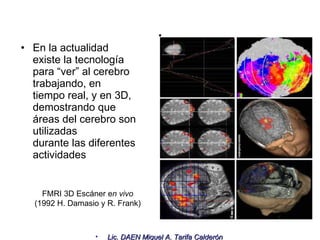 . En la actualidad existe la tecnología para “ver” al cerebro trabajando, en tiempo real, y en 3D, demostrando que áreas del cerebro son utilizadas durante las diferentes actividades FMRI 3D Escáner e n vivo (1992 H. Damasio y R. Frank) 