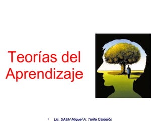 Teorías del Aprendizaje 