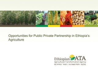 Opportunities for Public Private Partnership in Ethiopia ’s Agriculture 