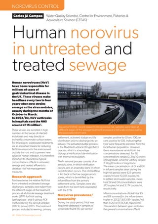 46 Water & Sewerage Journal
Human norovirus
in untreated and
treated sewage
Carlos JA Campos
NOROVIRUS CONTROL
Water Quality Scientist, Centre for Environment, Fisheries &
Aquaculture Science (CEFAS)
Human noroviruses (NoV)
have been responsible for
millions of cases of
gastrointestinal disease in
the UK. These viruses make
headlines every two to four
years when new strains
emerge as the virus mutates,
usually during the months of
October to March.
In 2002/03, NoV outbreaks
in hospitals cost the NHS
around £115 million1
.
These viruses are excreted in high
numbers in the faeces of infected
individuals and may directly or
indirectly contaminate surface waters.
For this reason, wastewater treatments
are an important means for reducing
NoV transmission in the environment
outside the host and to prevent new
cycles of human infection. It is therefore
important to characterise typical
concentrations of NoV in untreated
sewage and treated eﬄuents to
develop NoV risk-management
measures.
Research approach
To characterise the relative NoV risk
from untreated and treated sewage
discharges, samples were taken from
the diﬀerent stages of the treatment
process at a full-scale sewage treatment
works (STW) for NoV testing
(genogroups I and II) using a PCR
method during the period October
2012 to January 2015. The treatment
process included screening, primary
settlement, activated sludge and UV
disinfection prior to discharge into an
estuary. The activated sludge process
is the Modiﬁed Ludzack-Ettinger (MLE)
process, which is a two-stage
biological nitriﬁcation/de-nitriﬁcation
with internal recirculation.
The N removal process consists of an
aerobic zone, in which nitriﬁcation
occurs, and an anaerobic zone in which
de-nitriﬁcation occurs. The nitriﬁed ﬂow
is fed back to the low oxygen anoxic
zones, which is de-nitriﬁed by the
inﬂuent ﬂow from the primary
settlement tanks. Samples were also
taken from the storm tank associated
with the STW.
Norovirus prevalence/
seasonality
During the study period, NoV was
frequently detected in samples of
screened inﬂuent (93 per cent of
samples positive for GI and 100 per
cent positive for GII), indicating that
NoV were frequently excreted from the
local human population. However,
there was extreme variability in the
concentrations detected. For GI,
concentrations ranged 2.3log10 orders
of magnitude, while for GII they ranged
2.9log10 orders of magnitude.
The mean concentrations of GI and GII
in inﬂuent samples taken during the
high-risk period were 925 genome
copies/ml and 10,025 copies/ml.
In settled stormwater samples, mean
NoV GI and GII concentrations were
513 copies/ml and 3,174 copies/ml,
respectively.
Mean concentrations of total NoV (GI
and GII summed) in the inﬂuent were
higher in 2012/13 (13,914 copies/ml)
than in 2014/15 (6,541 copies/ml).
This variation between years indicates
the general concentrations of NoV
As part of CEFAS’ recent research into norovirus risk, samples were taken at
diﬀerent stages of the sewage treatment process at a full-scale works as well as
the associated storm tank
 