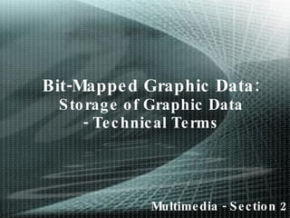 Bit-Mapped Graphic Data: Storage of Graphic Data - Technical Terms Multimedia - Section 2 