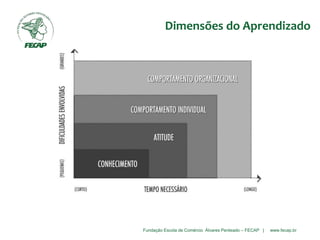 Fundação Escola de Comércio Álvares Penteado – FECAP | www.fecap.br
Dimensões do Aprendizado
 