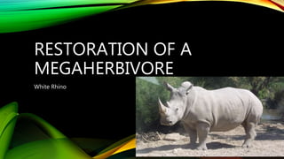 RESTORATION OF A
MEGAHERBIVORE
White Rhino
 