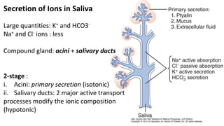 Secretion of Ions in Saliva
Large quantities: K+ and HCO3-
Na+ and Cl- ions : less
Compound gland: acini + salivary ducts
2-stage :
i. Acini: primary secretion (isotonic)
ii. Salivary ducts: 2 major active transport
processes modify the ionic composition
(hypotonic)
 