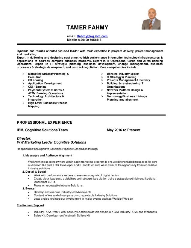 Tamer Fahmy CV Jan 17