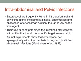 Comprehensive Overview of Enterococcus: Classification, Virulence, and ...