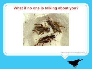 What if no one is talking about you? Image source: http://www.nyworms.com/images/groupcrickets.jpg 
