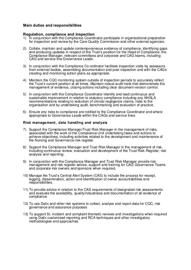 risk manager description risk manager description