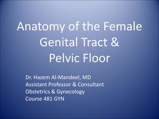 Anatomy of the Female
Genital Tract &
Pelvic Floor
Dr. Hazem Al-Mandeel, MD
Assistant Professor & Consultant
Obstetrics & Gynecology
Course 481 GYN
 