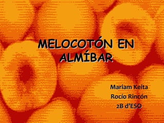 MELOCOTÓN EN ALMÍBAR Mariam Keita Rocío Rincón 2B d’ESO 