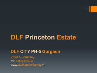 DLF Princeton Estate
DLF CITY PH-5 Gurgaon
Vivek & Company
+91 9990365408
www.vivekandcompany.in
1
 