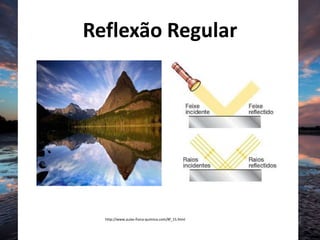 Reflexão Regular
http://www.aulas-fisica-quimica.com/8f_15.html
 